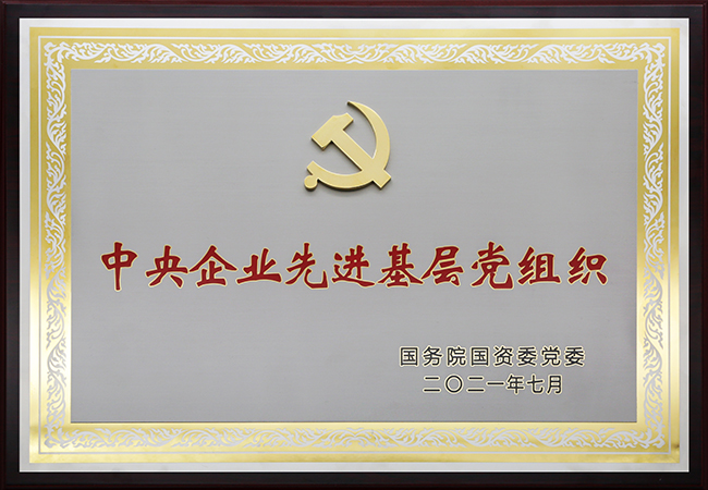 國珍松花粉-新時代健康產業（集團）有限公司成立于1995年3月，是中國新時代控股（集團）公司的控股子公司，總部設在北京，注冊資本1億元人民幣。公司是直銷行業內首批獲得直銷牌照的內資企業之一，也是行業內唯一一家央屬企業。